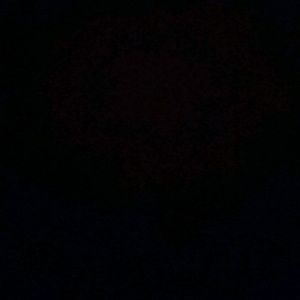 Meet your Posher, Tess